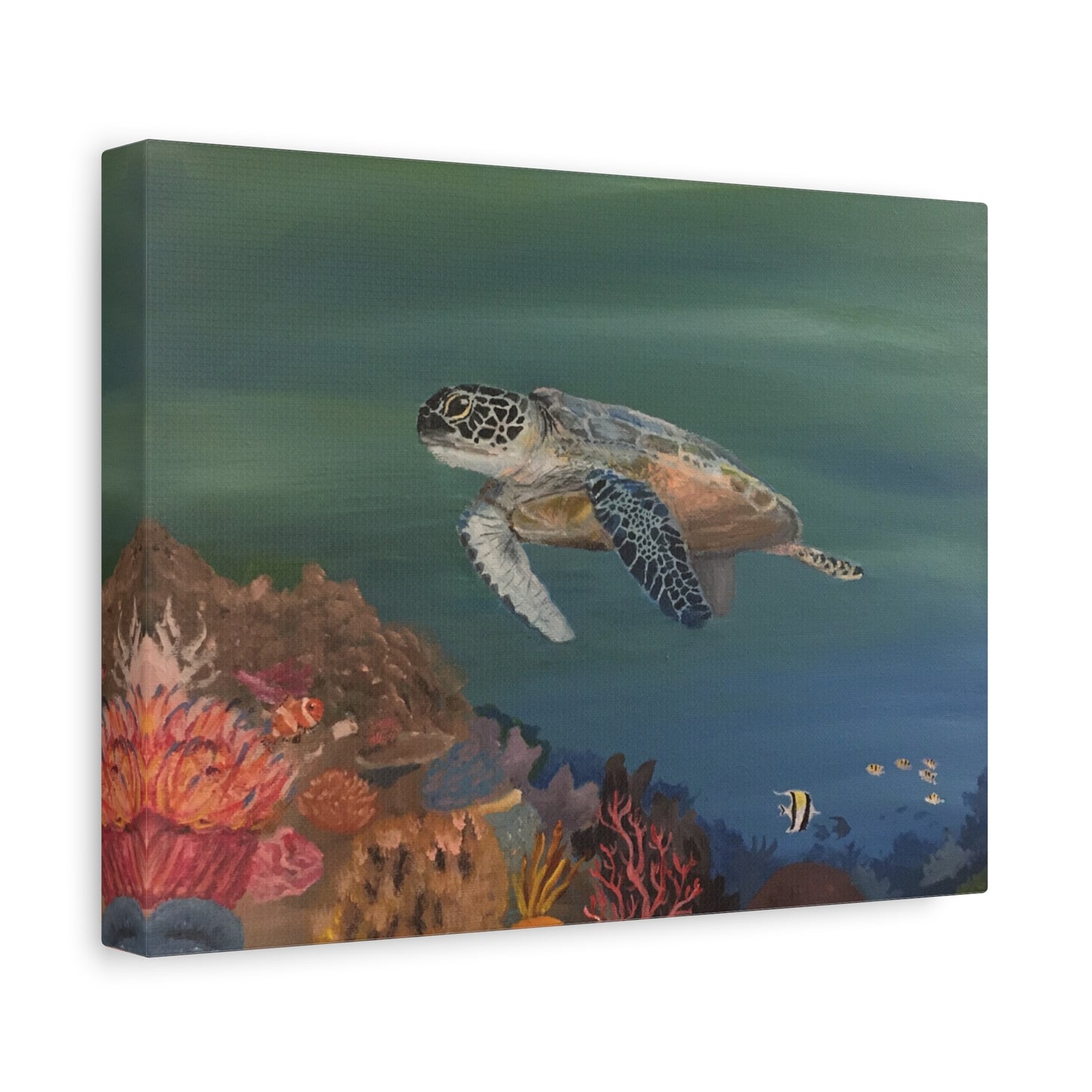 Turtle Matte Canvas, Stretched, 1.25"