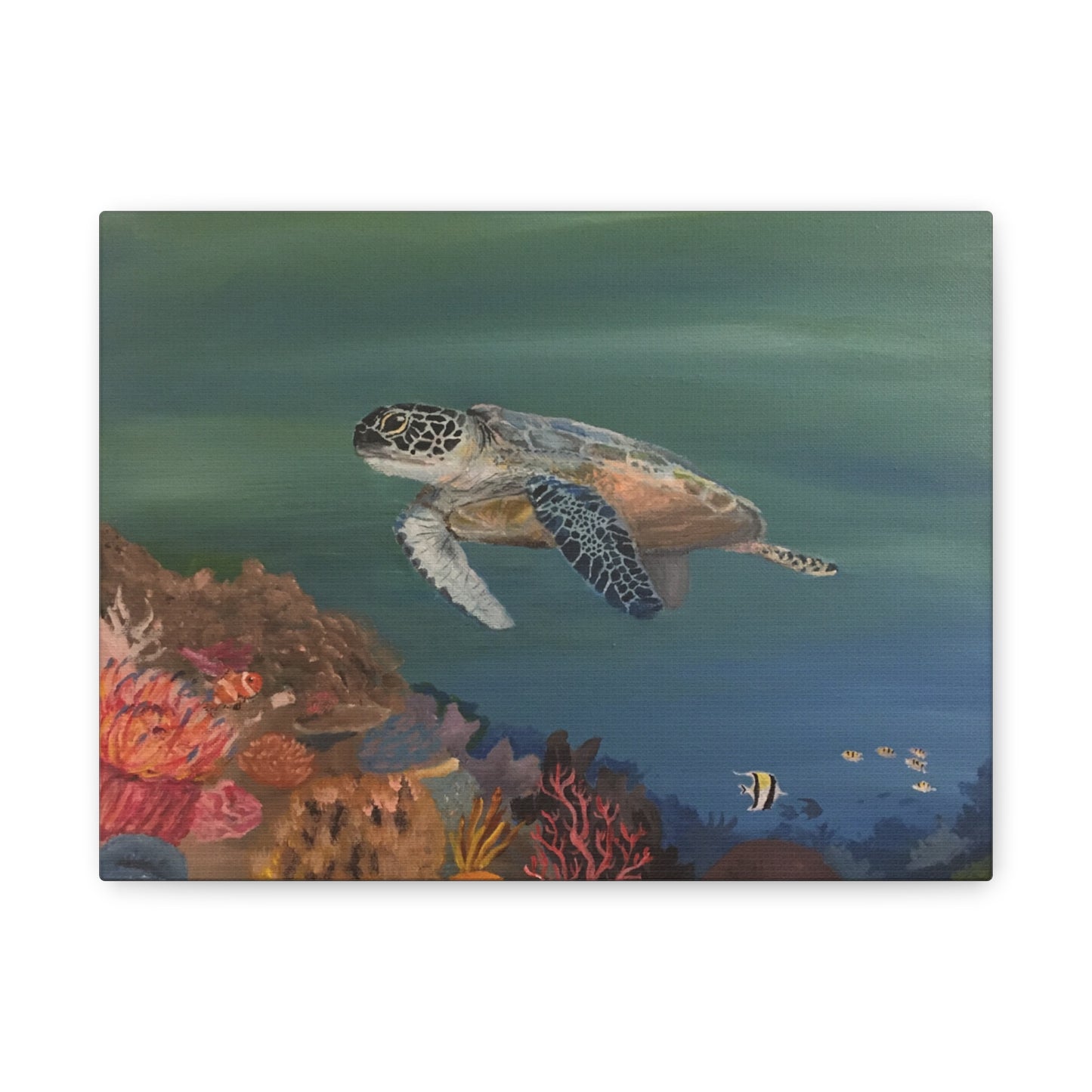 Turtle Matte Canvas, Stretched, 1.25"
