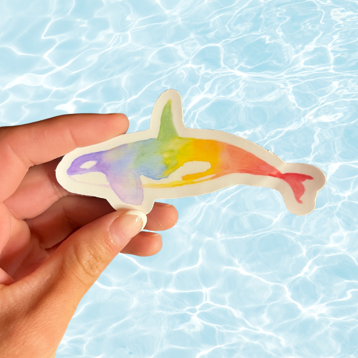 Rainbow Orca Sticker