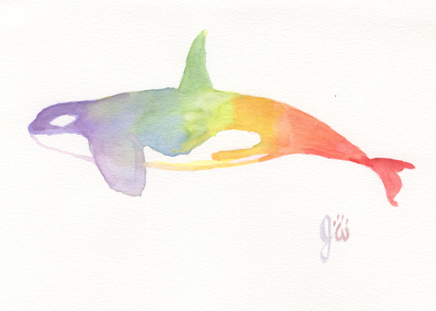 Rainbow Orca