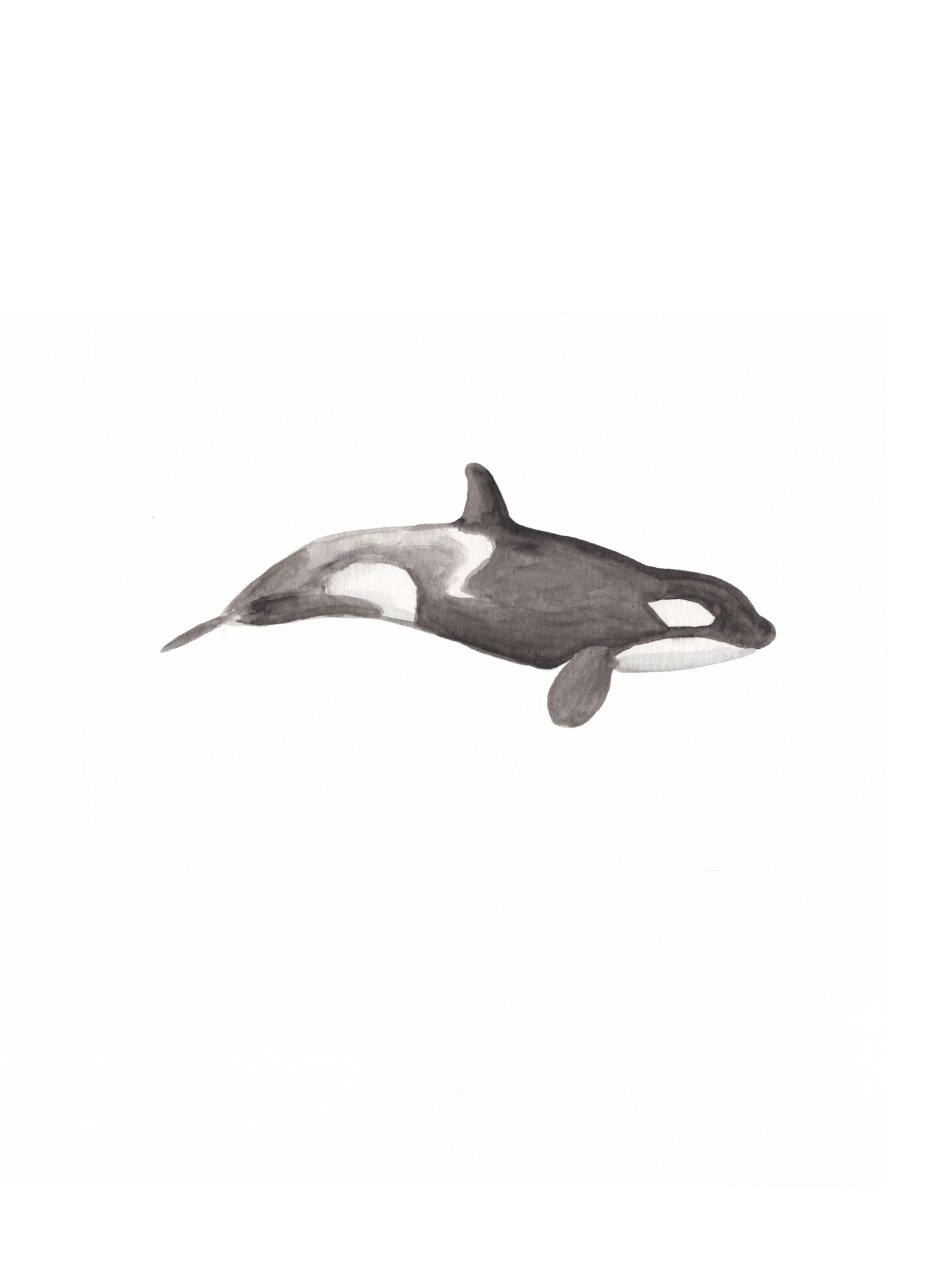 Orca Original