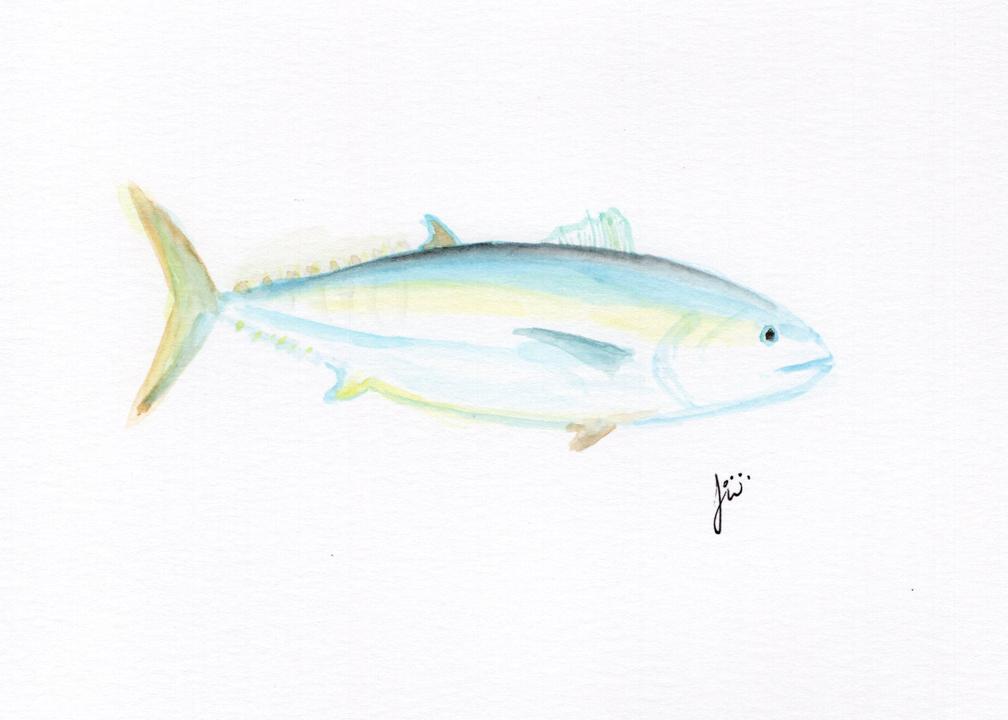 Black fin Tuna Print