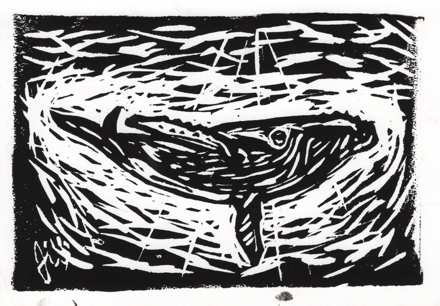 Humpback Whale Print