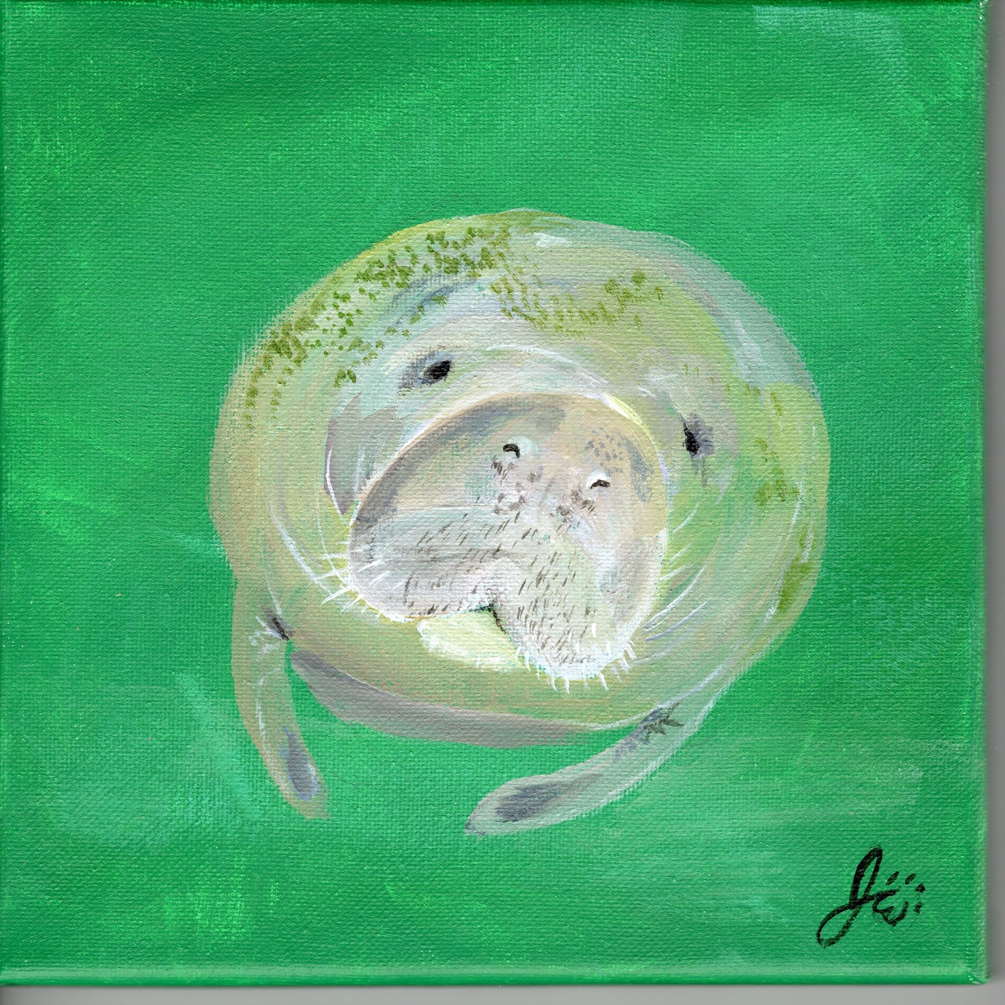 Manatee Prints