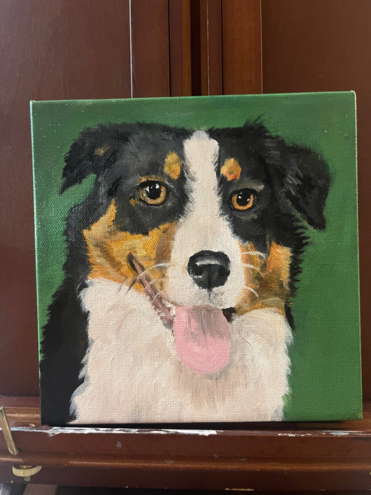 Custom Commissions: Oil Pet Portaits