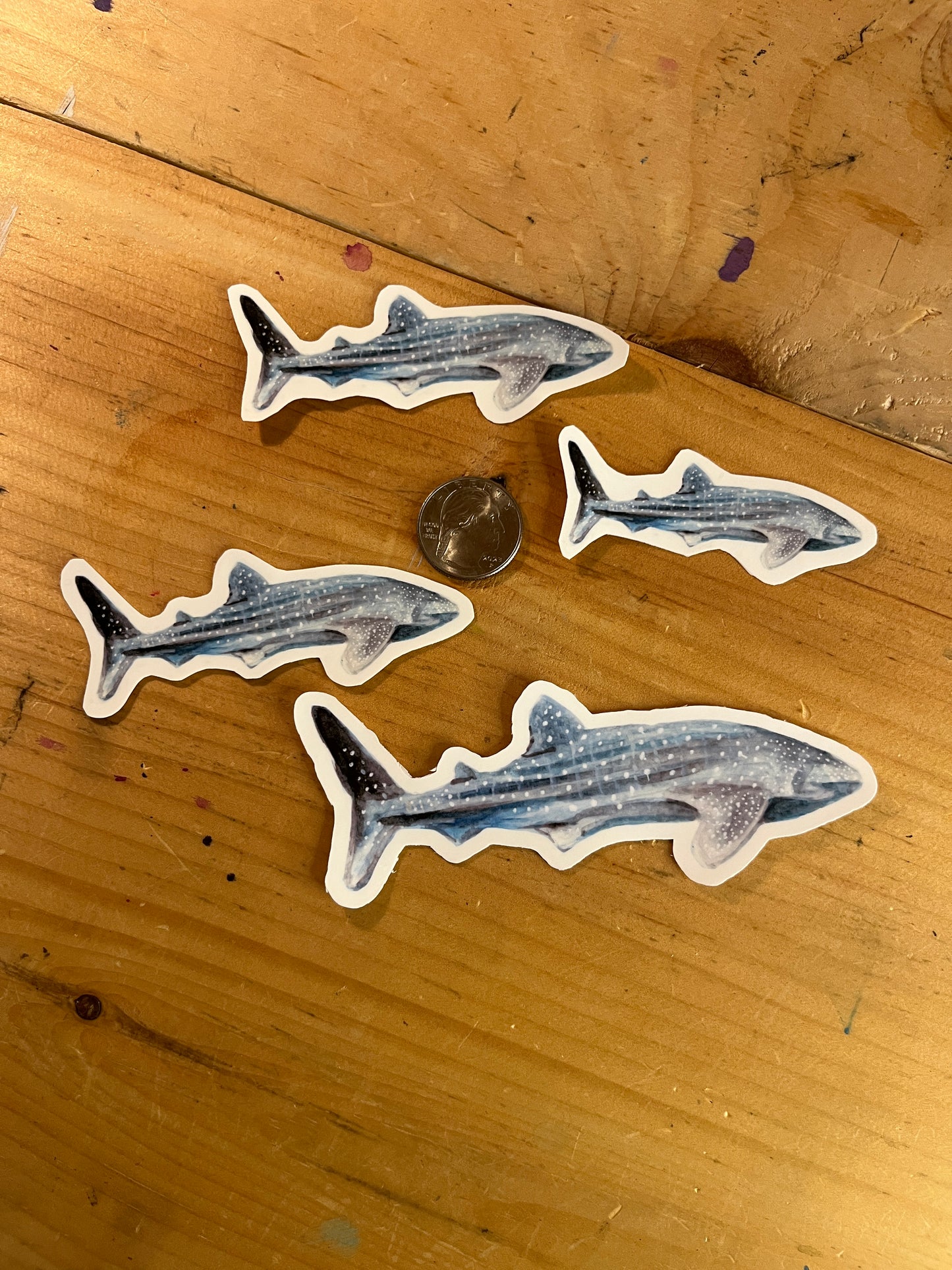 Whale Shark Vinyl Sticker