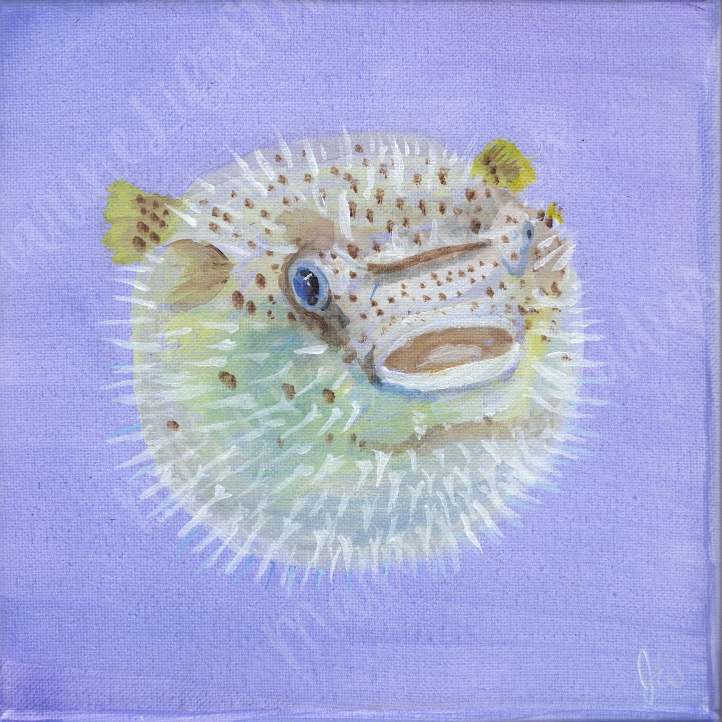 PufferFish Canvas Original