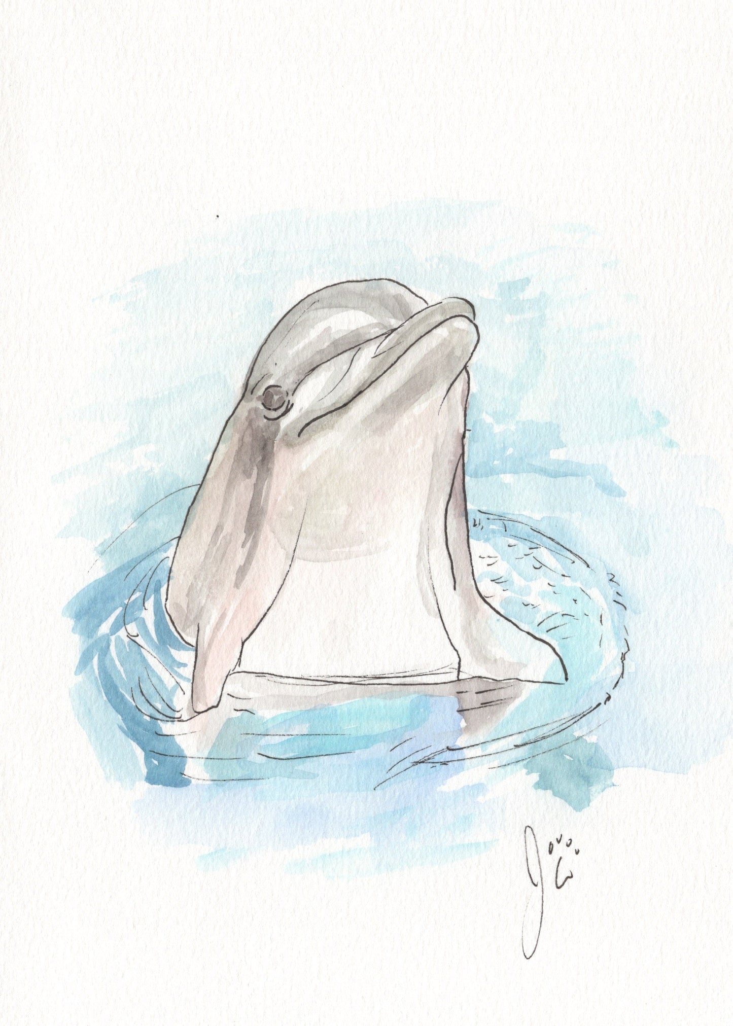 Dolphin Watercolor Print