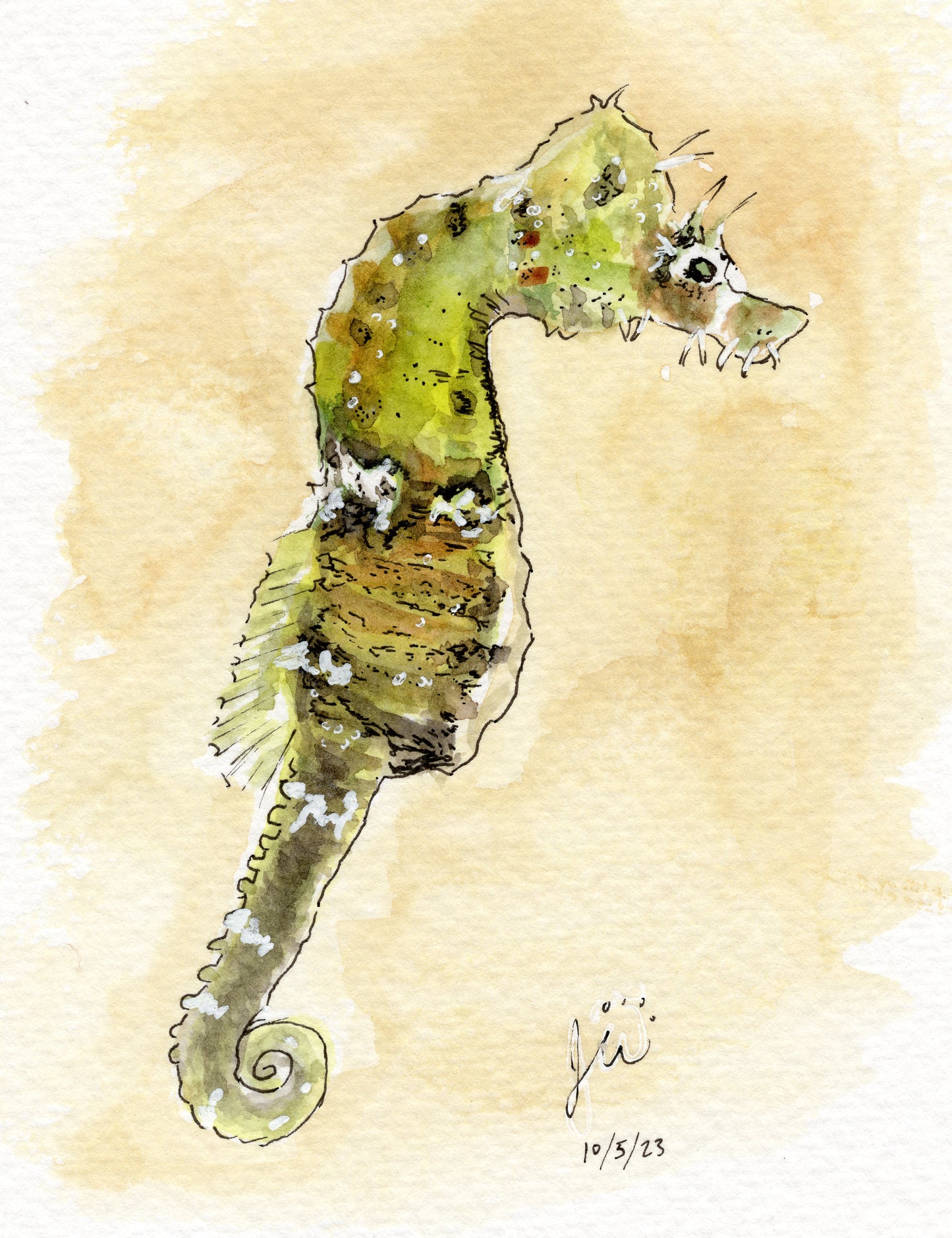 Florida Seahorse Print