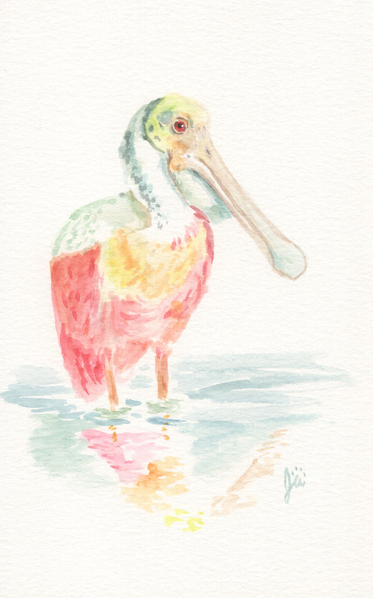 Spoonbill Original