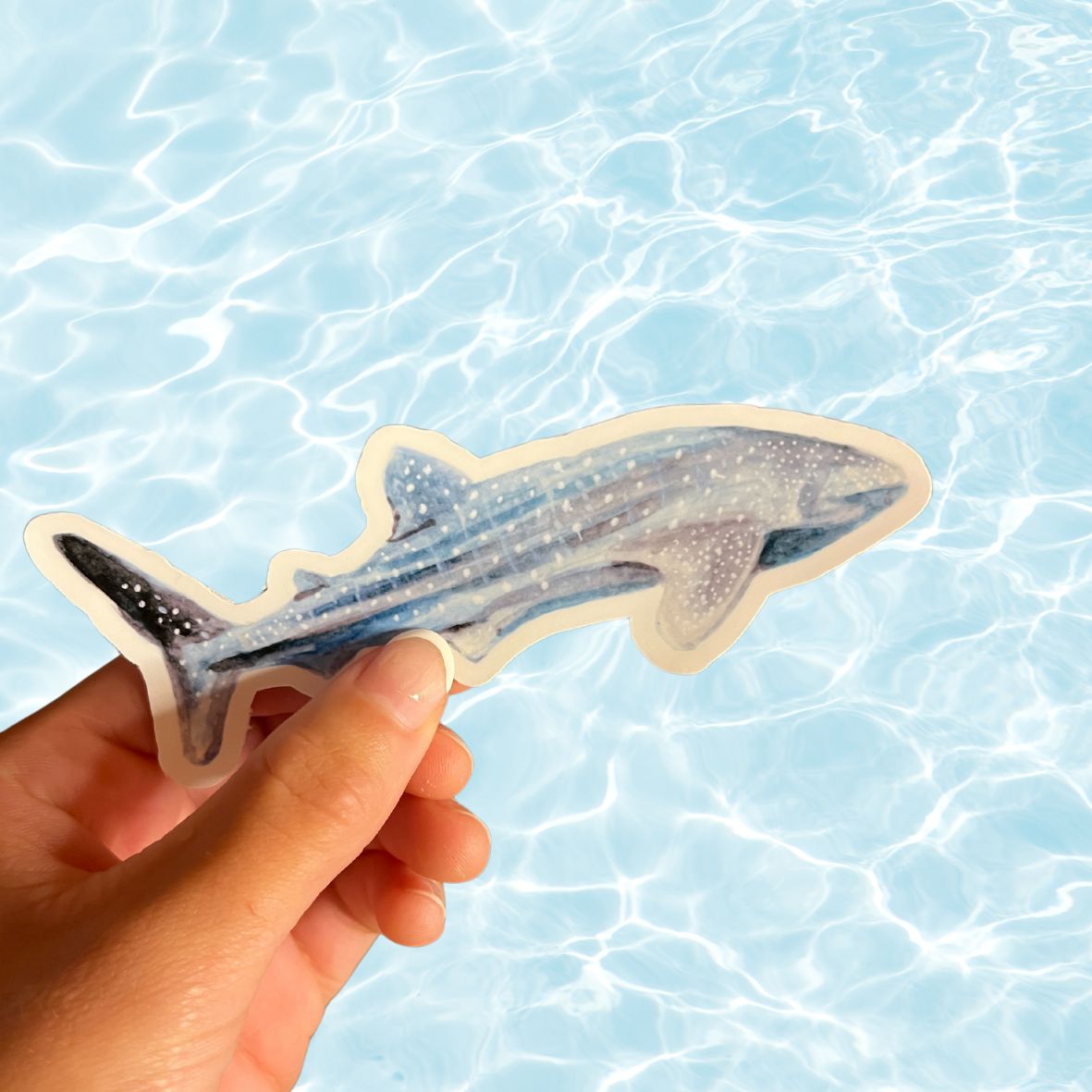Whale Shark Vinyl Sticker