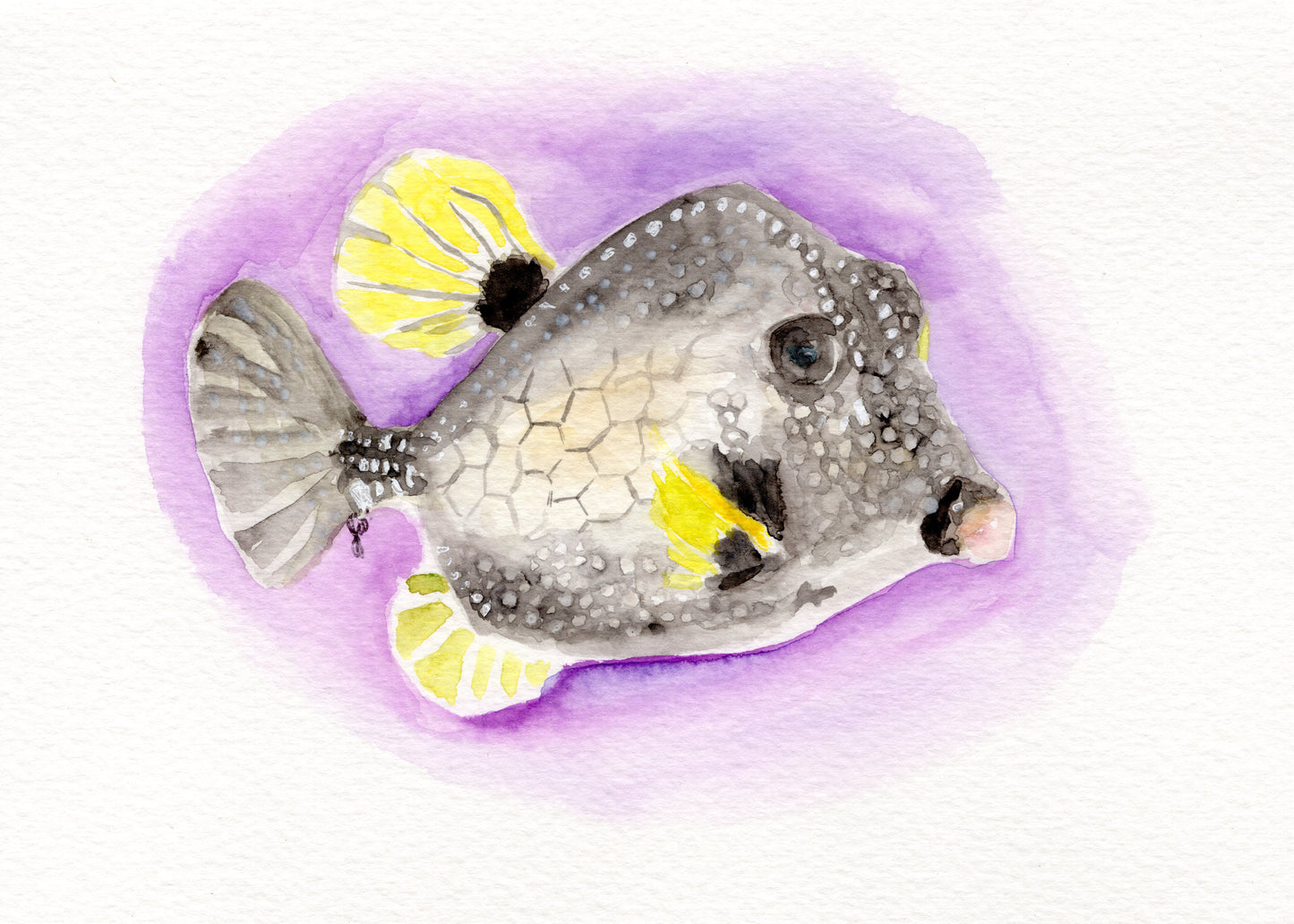 Trunkfish Watercolor Print