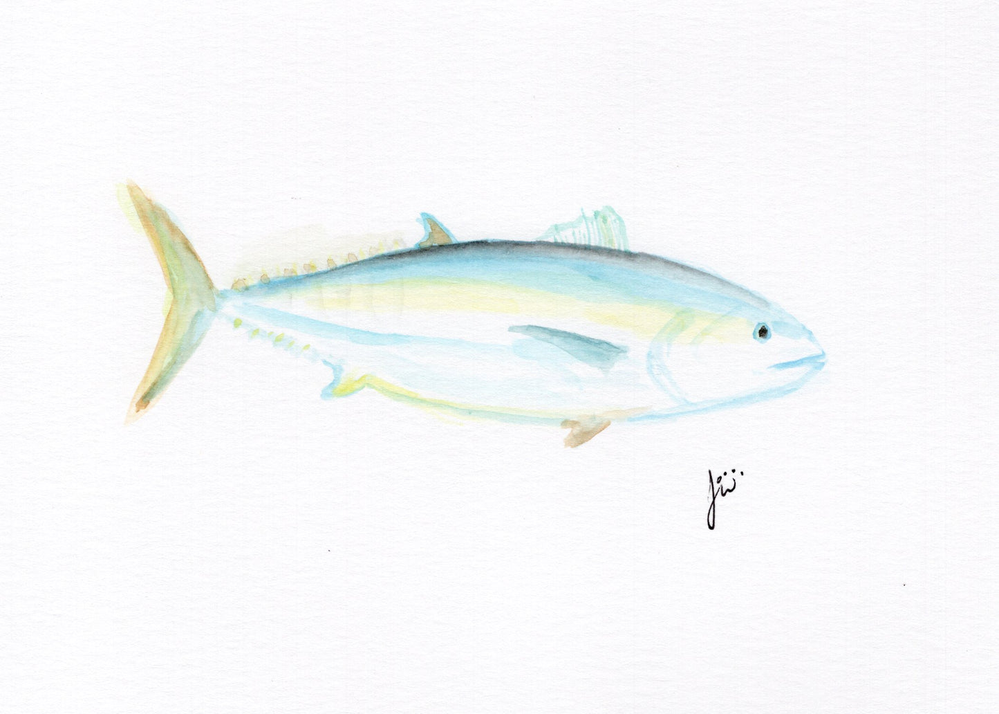 Blackfin Tuna Watercolor Original