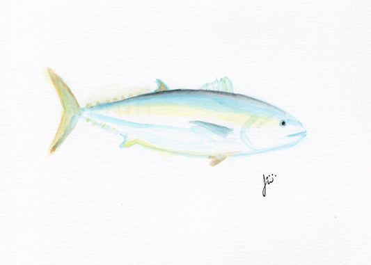 Blackfin Tuna Watercolor Original