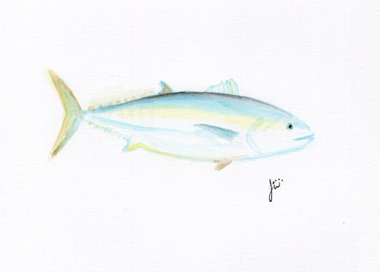 Black fin Tuna Print
