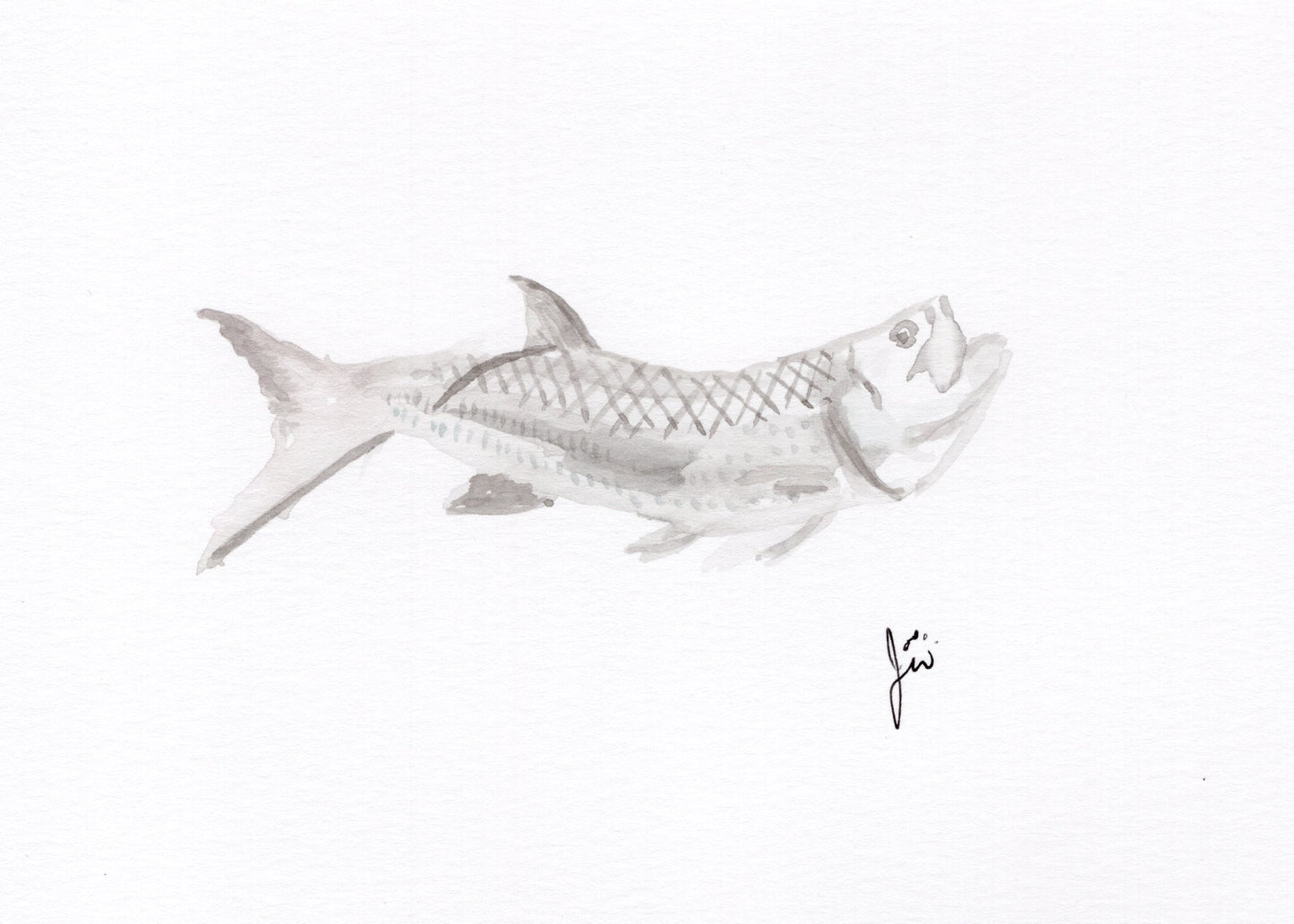 Tarpon Watercolor Print