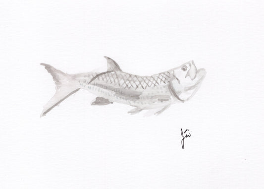 Tarpon Watercolor Original