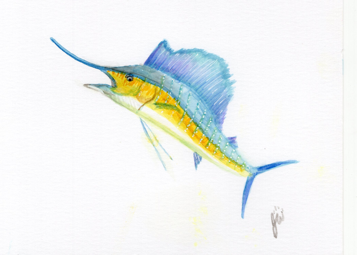 Sailfish Watercolor Print